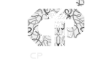 CP Games